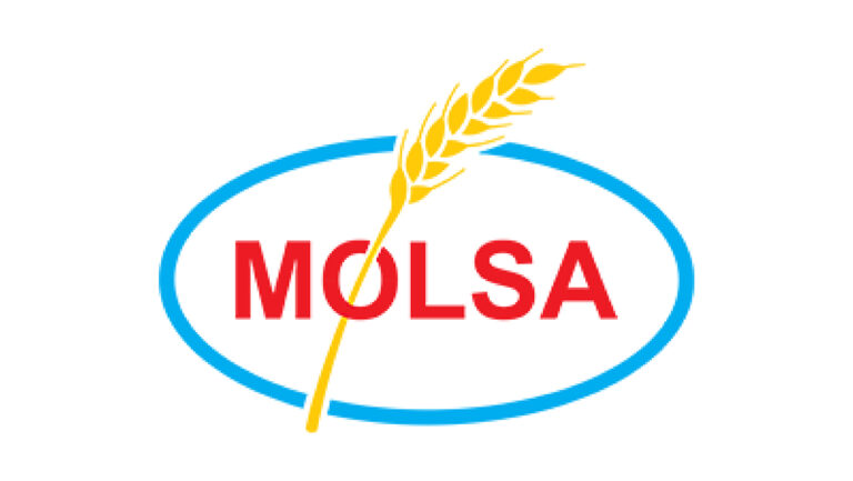 molsa 768x433